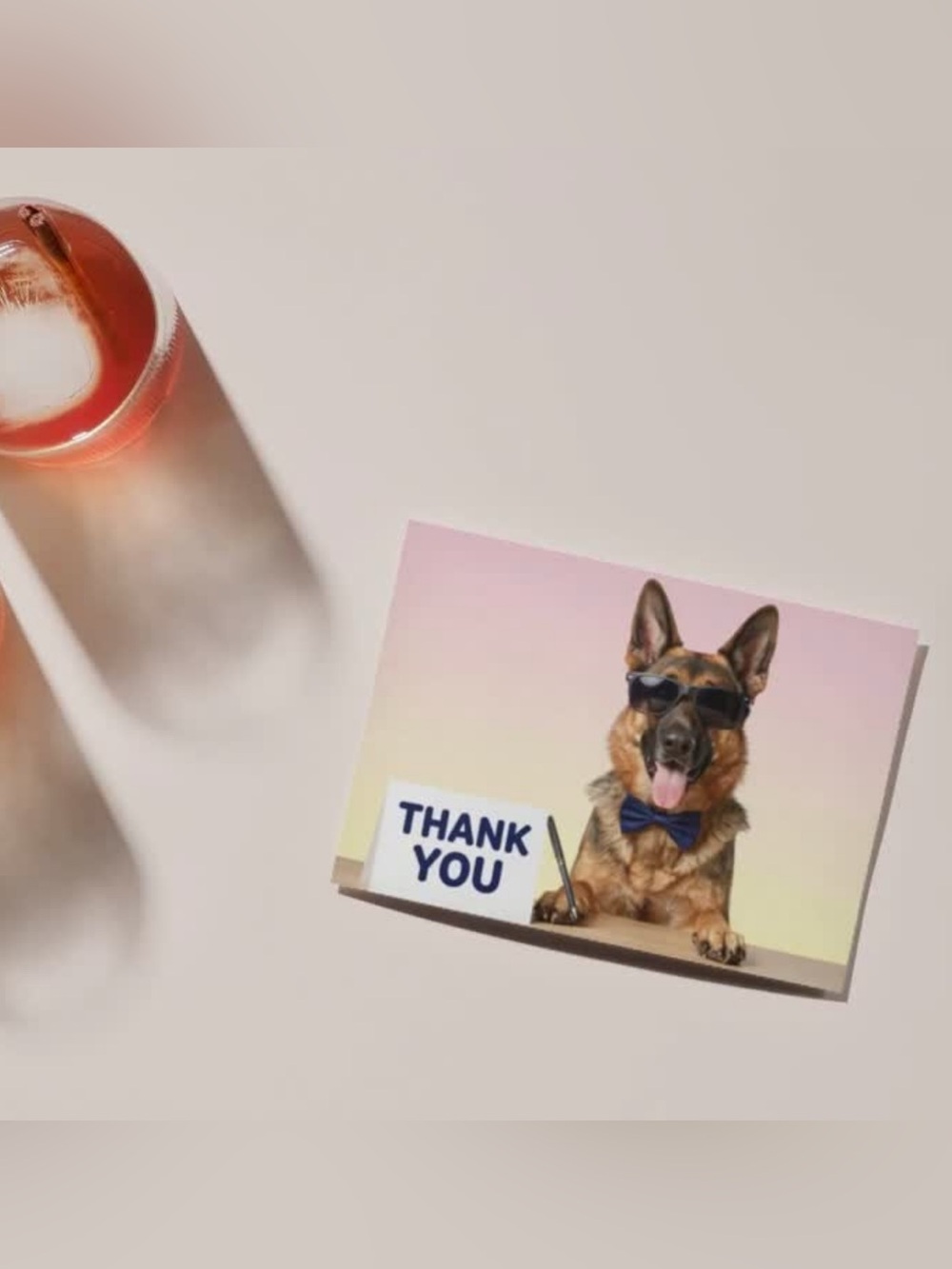Funny German Shepherd Thank You Cards Set of 15 4x6 Dog Cards with Envelopes